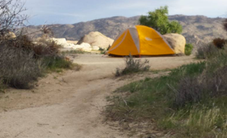 Ryan W.'s photo at Culp Valley Primitive Campground — Anza-Borrego Desert State Park near Ocotillo Wells, CA