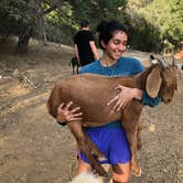 Review photo of Shooting Star Sanctuary and Retreat near Yosemite National Forest by Sarrah H., June 21, 2021