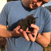 Review photo of Shooting Star Sanctuary and Retreat near Yosemite National Forest by Sarrah H., June 21, 2021