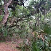 Review photo of Anastasia State Park Campground by Karen S., June 21, 2021