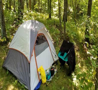 Camper-submitted photo from Spider Lake Trail - Dispersed Camping