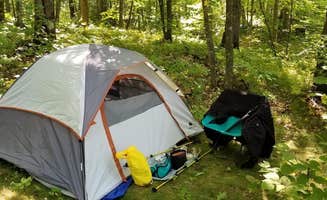 Brent G.'s photo at Spider Lake Trail - Dispersed Camping in Minnesota