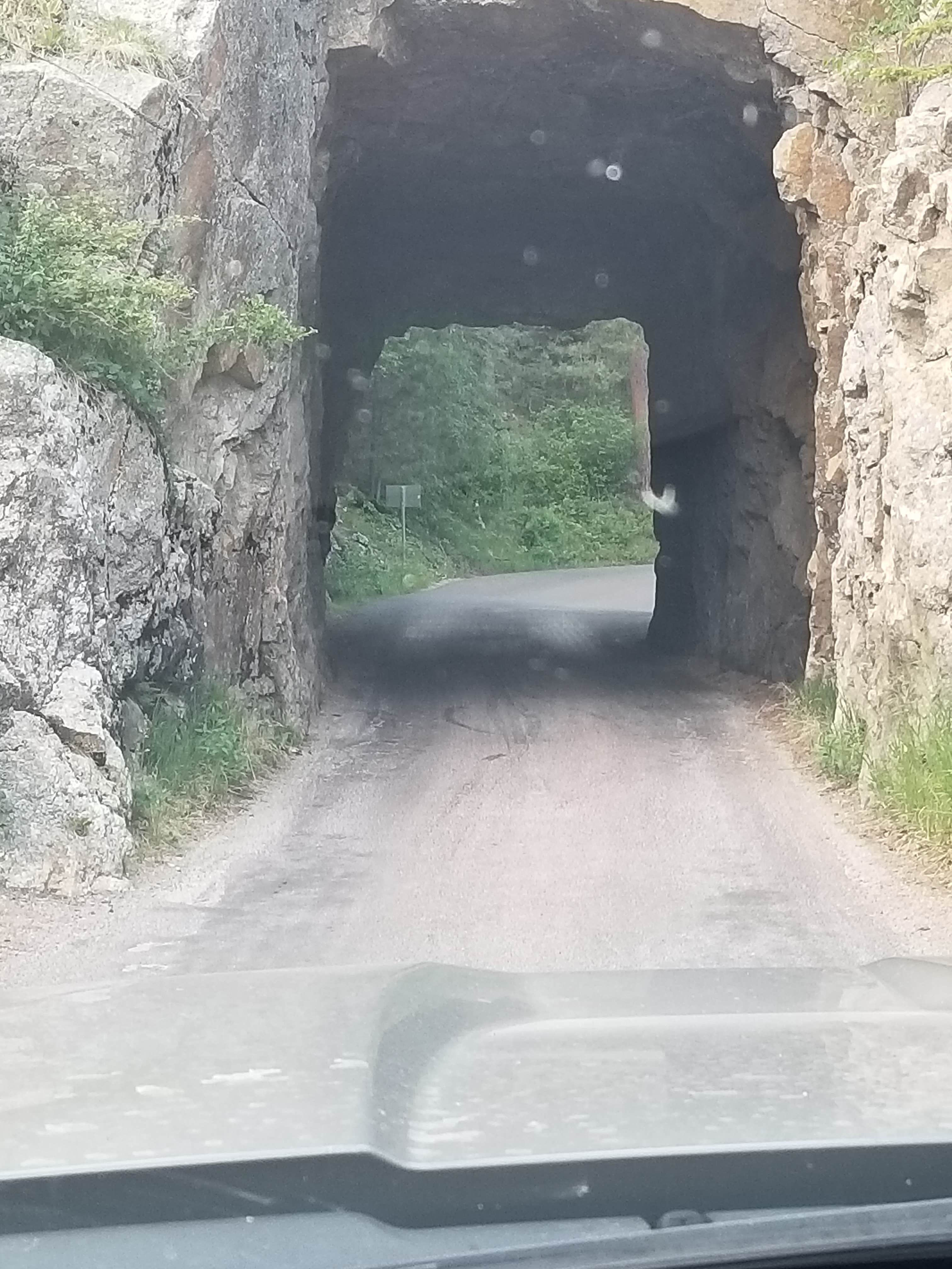 Camper submitted image from Wolf Camp Campground - PERMANENTLY CLOSED - 5