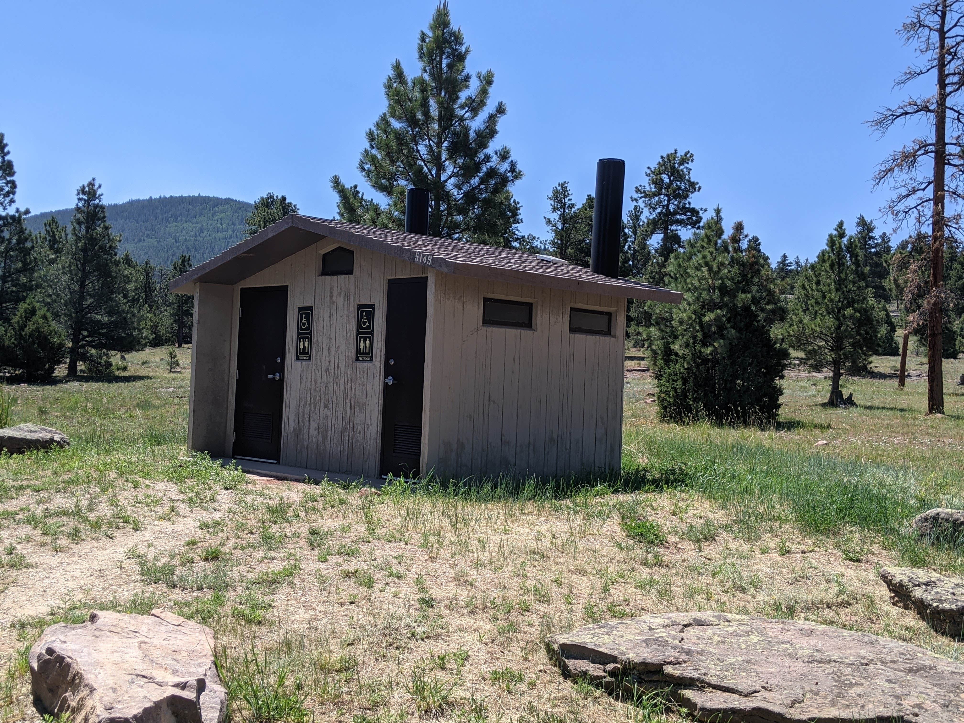 Camper submitted image from Greendale - Ashley National Forest - 4