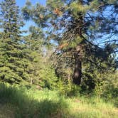 Review photo of McDougall Dispersed Camping by Chris , June 21, 2021