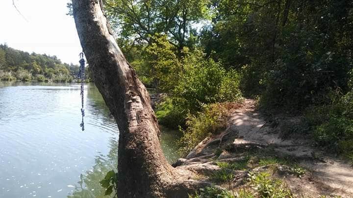 Camper submitted image from Blue River Campground - 3