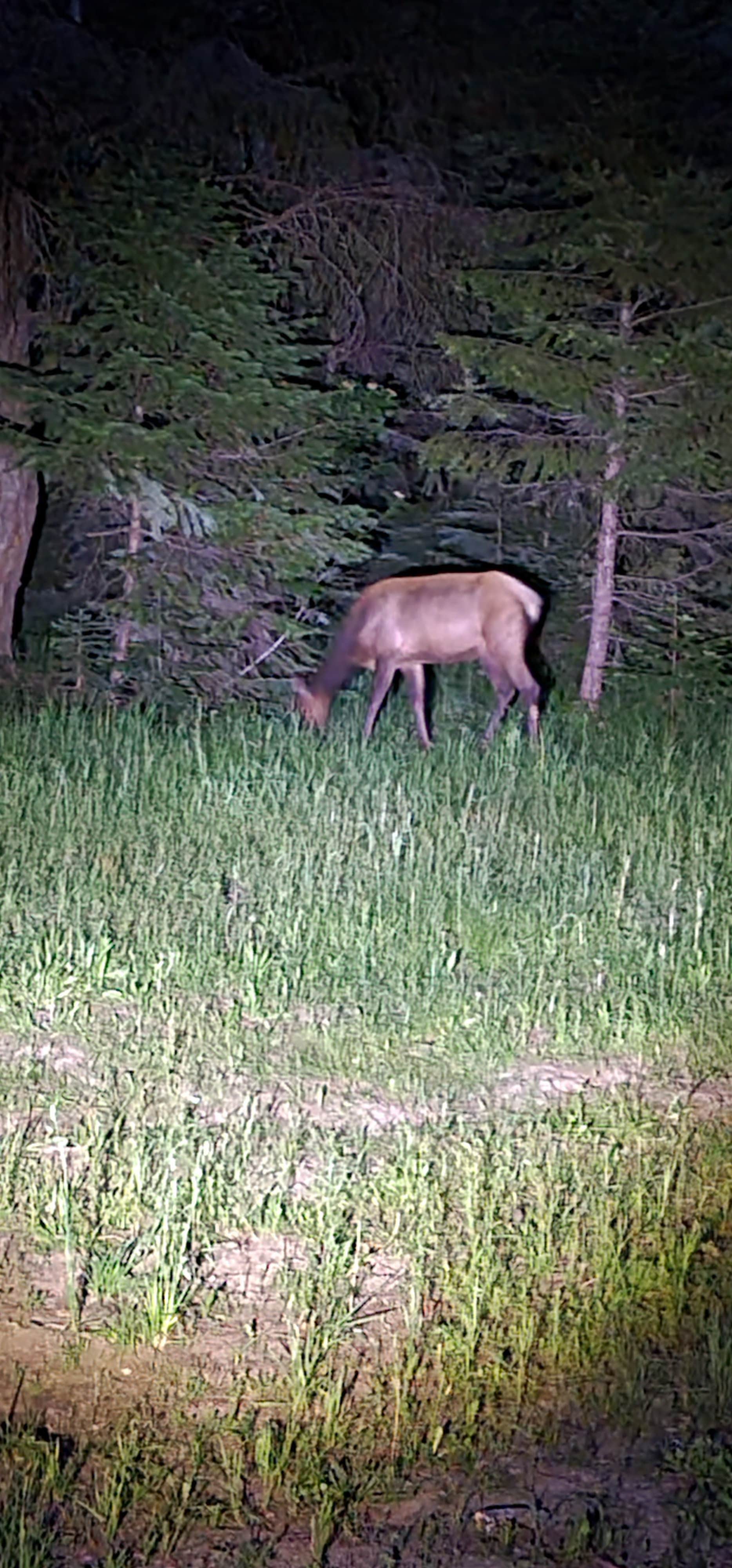 Camper submitted image from Clear Lake North Campground - 5