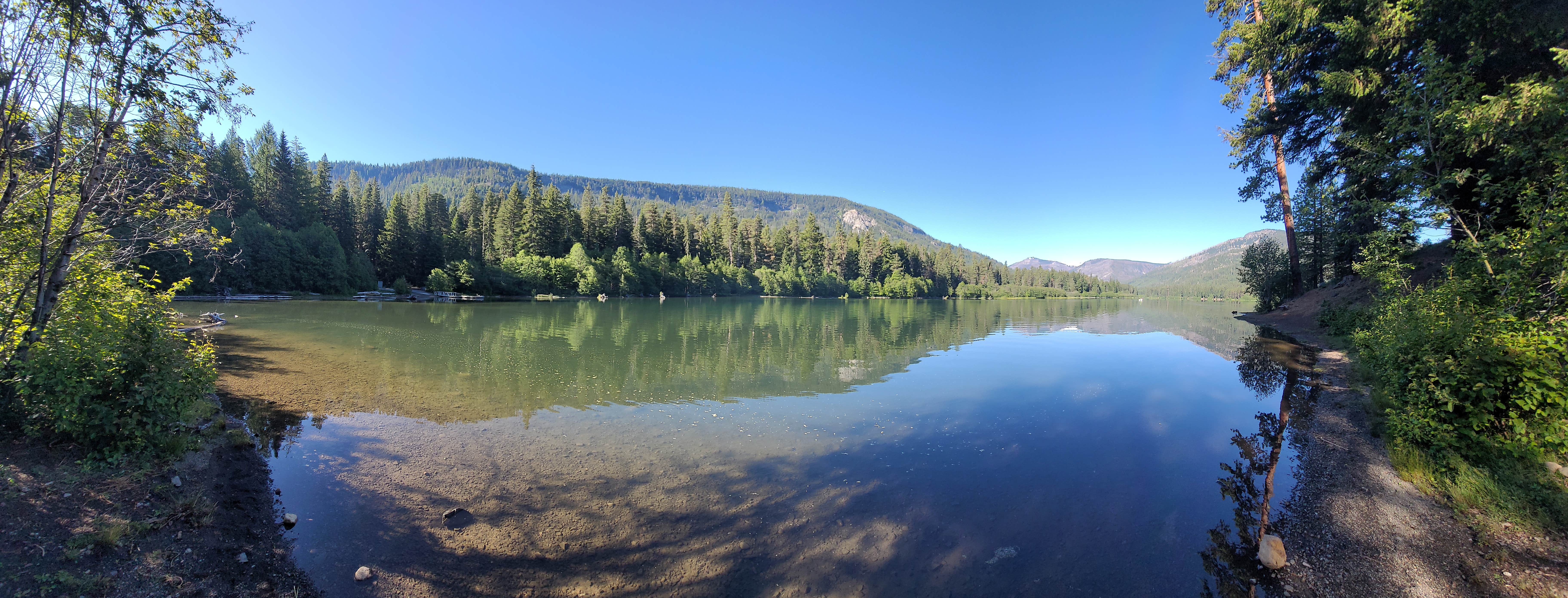 View All