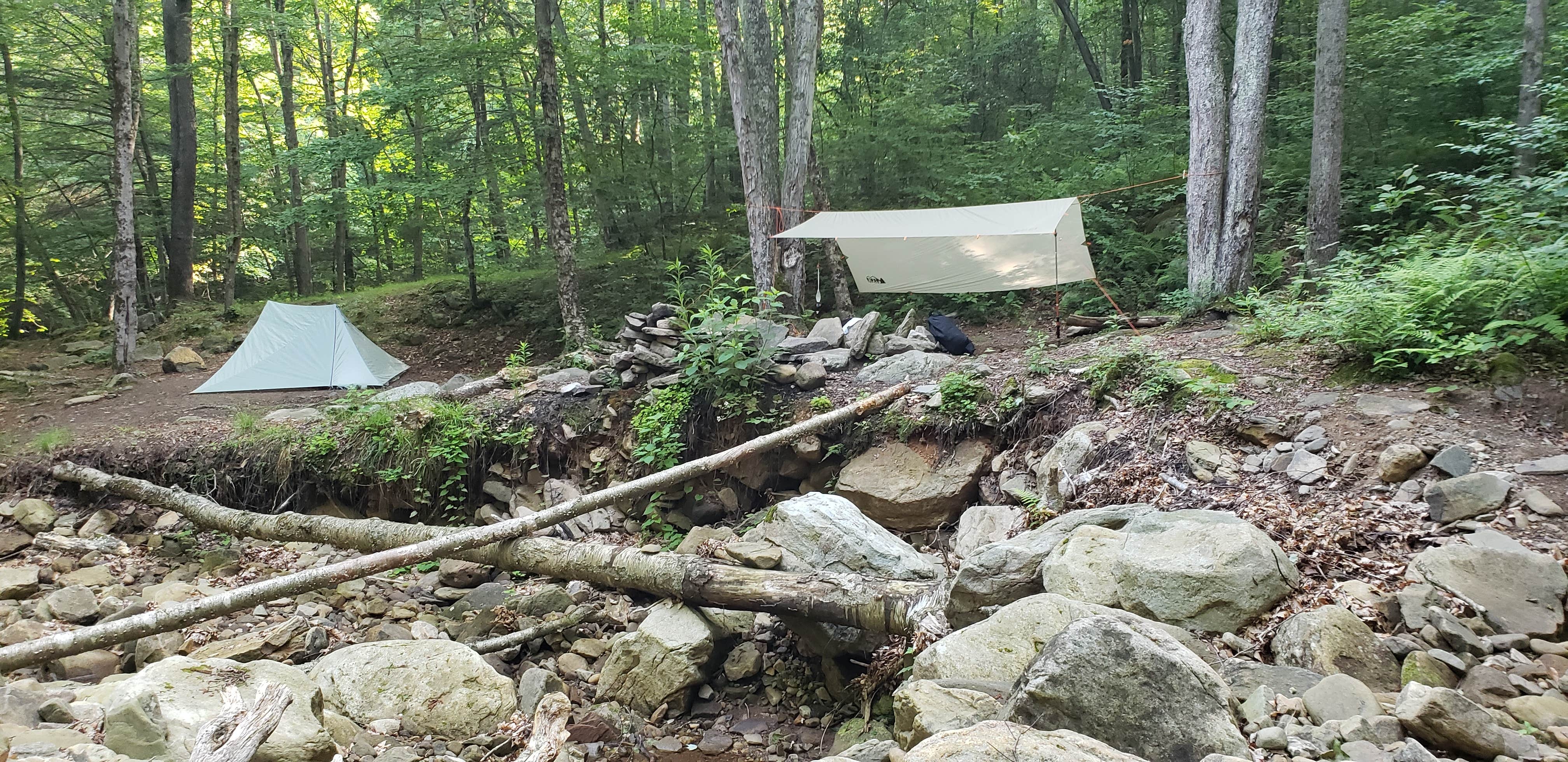 John S.'s photo at Old Logger's Path near Eagles Mere, PA