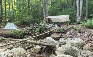 John S.'s photo of a dispersed camping area at Old Logger's Path near Sabinsville, PA