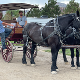 Review photo of Palisade Basecamp RV Resort by Aaron , June 21, 2021