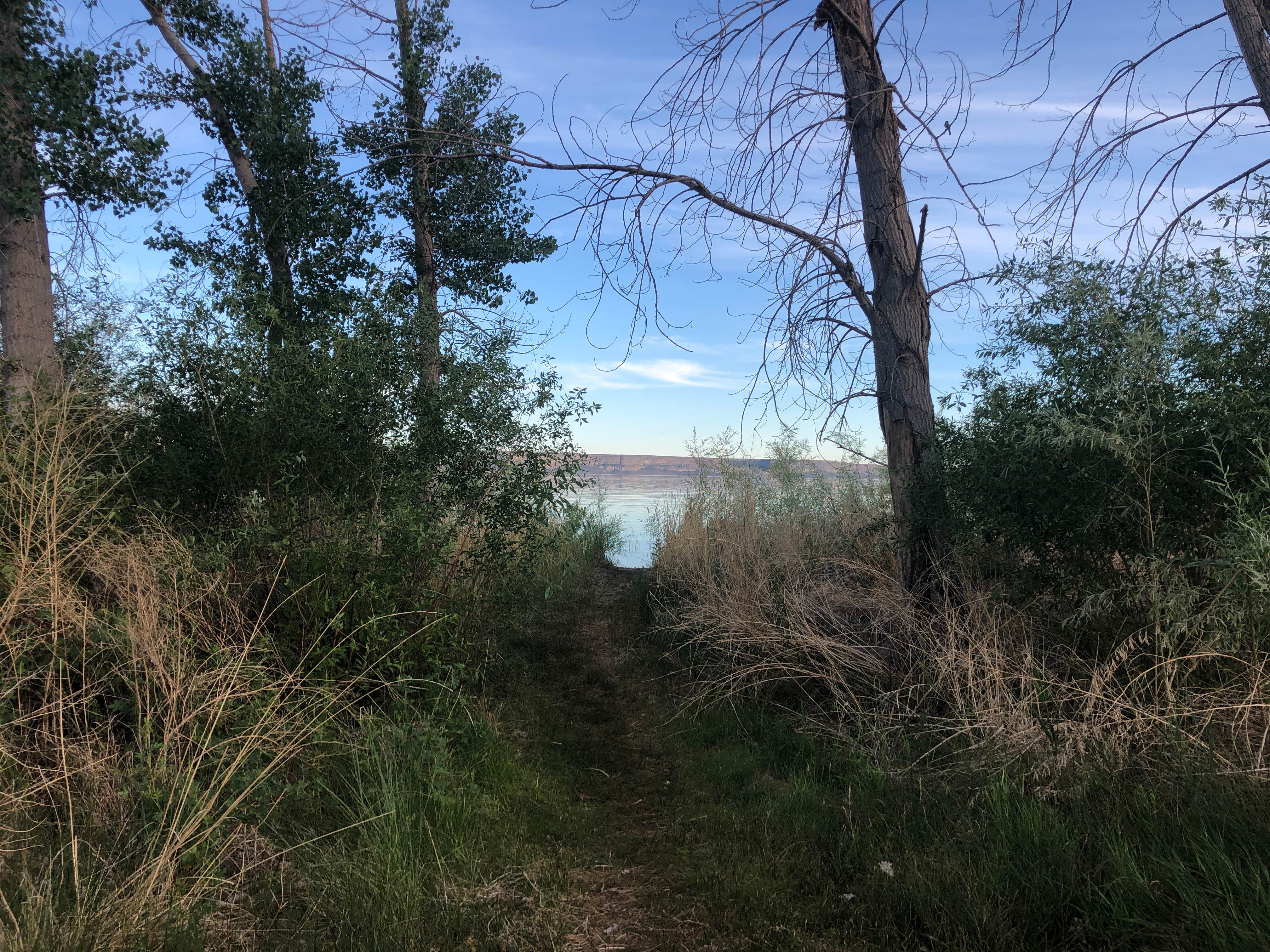 Camper-submitted photo at Barker Canyon near Coulee Dam, WA