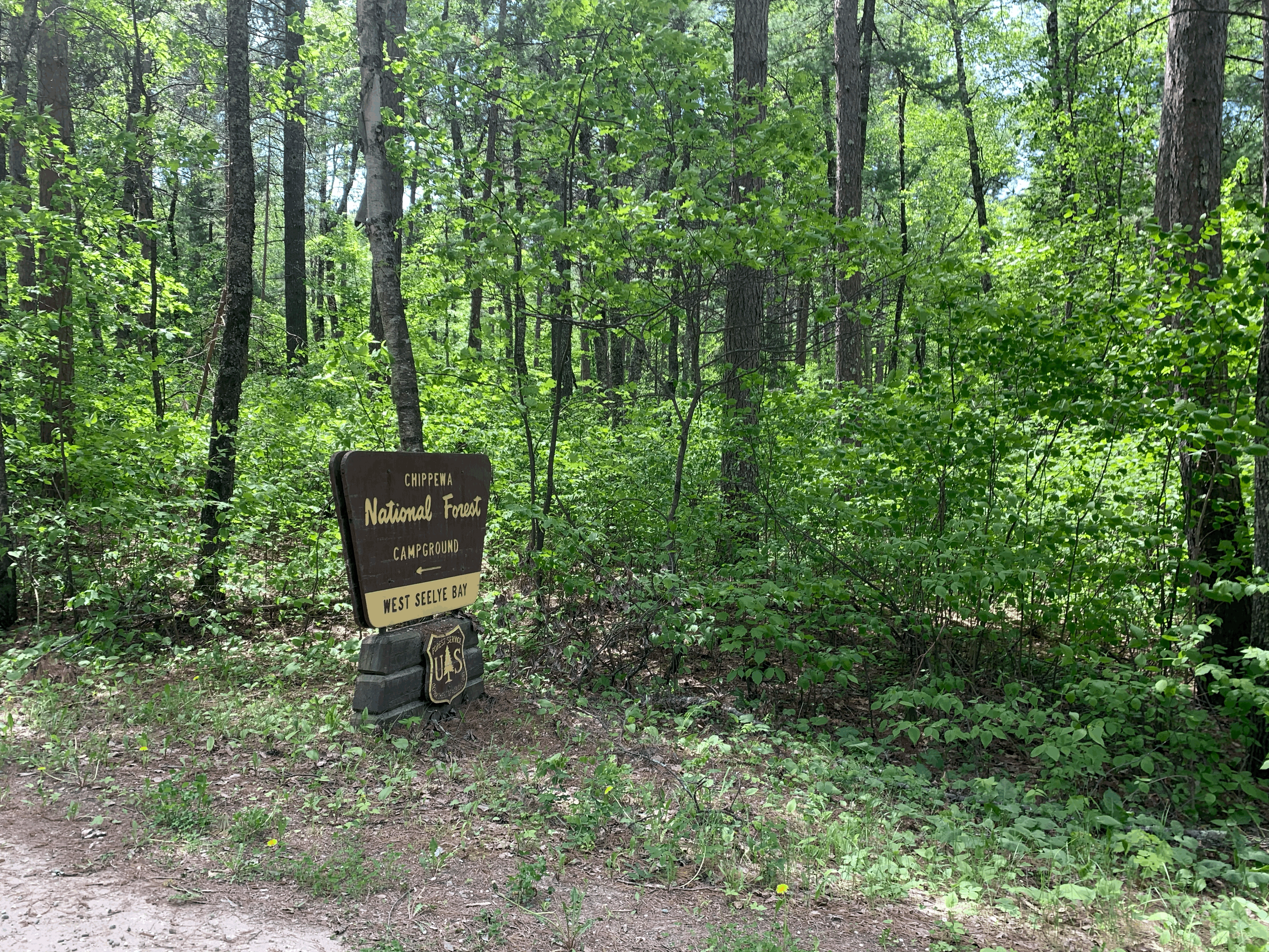 Camping near East Seelye Bay Campground: West Seelye Bay, Chippewa National Forest, Minnesota