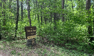 Camping near Northern Acres Resort & Campground: West Seelye Bay, Chippewa National Forest, Minnesota