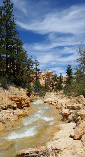 Camper-submitted photo at Rubys Inn RV Park and Campground in Utah