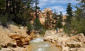 Camping near Sunset Campground — Bryce Canyon National Park: Ruby's Inn RV Park and Campground, Fern Ridge Lake, Utah