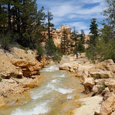 Review photo of Ruby's Inn RV Park and Campground by Ryan W., July 16, 2016