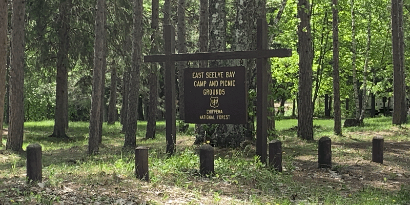 Camper submitted image from East Seelye Bay Campground