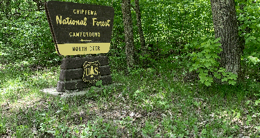 Chippewa National Forest Deer Lake Campground