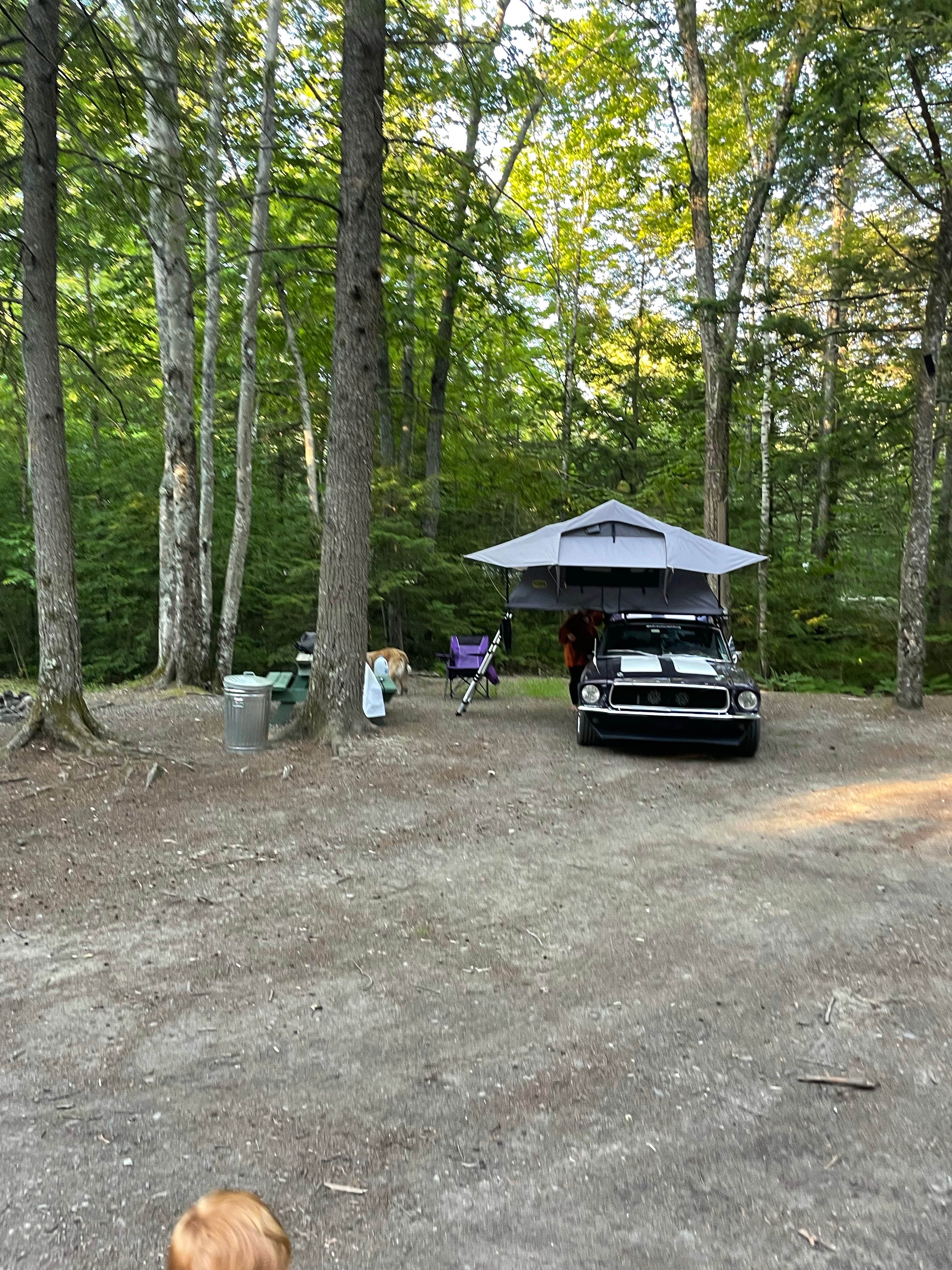 Camper submitted image from Town Line Camping - 5