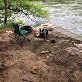Review photo of French Broad River Campground - Permanently Closed by Molly G., June 6, 2018