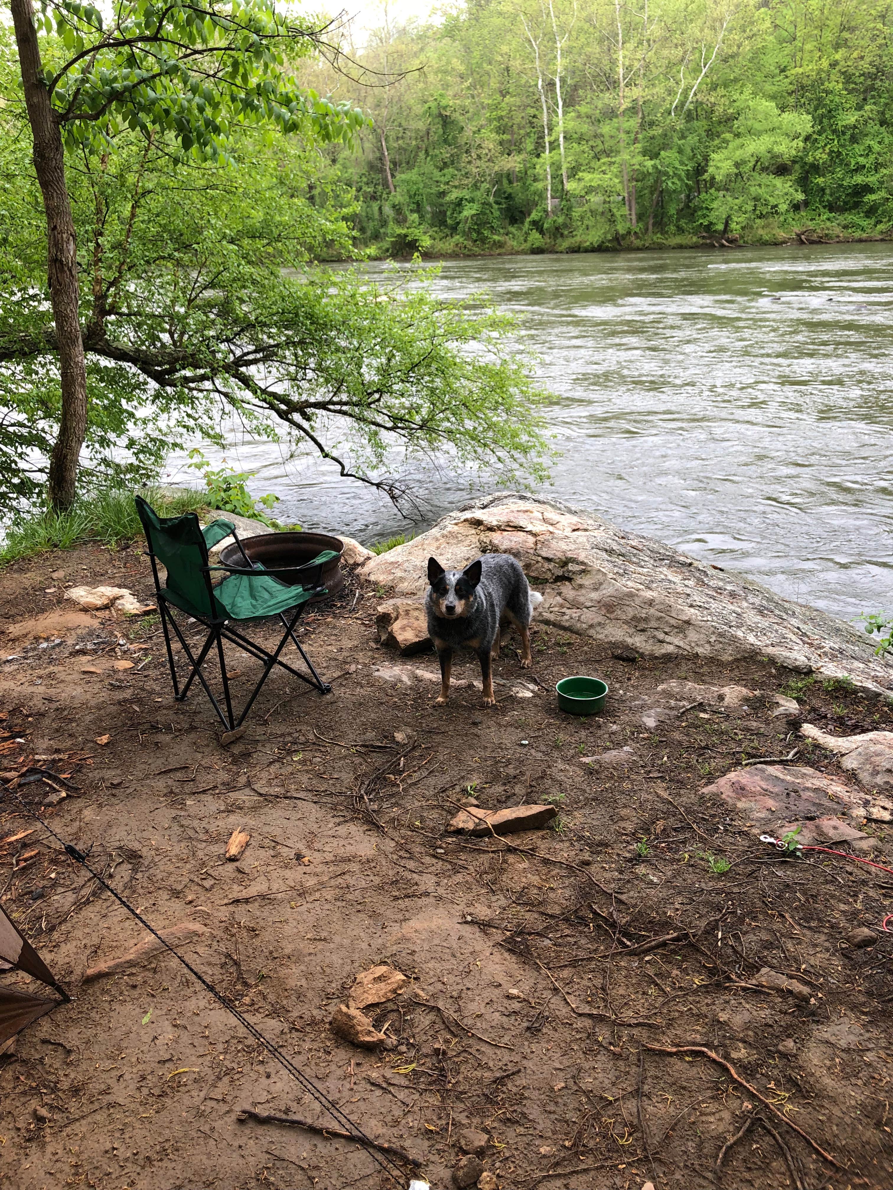 Camper submitted image from French Broad River Campground - Permanently Closed - 4