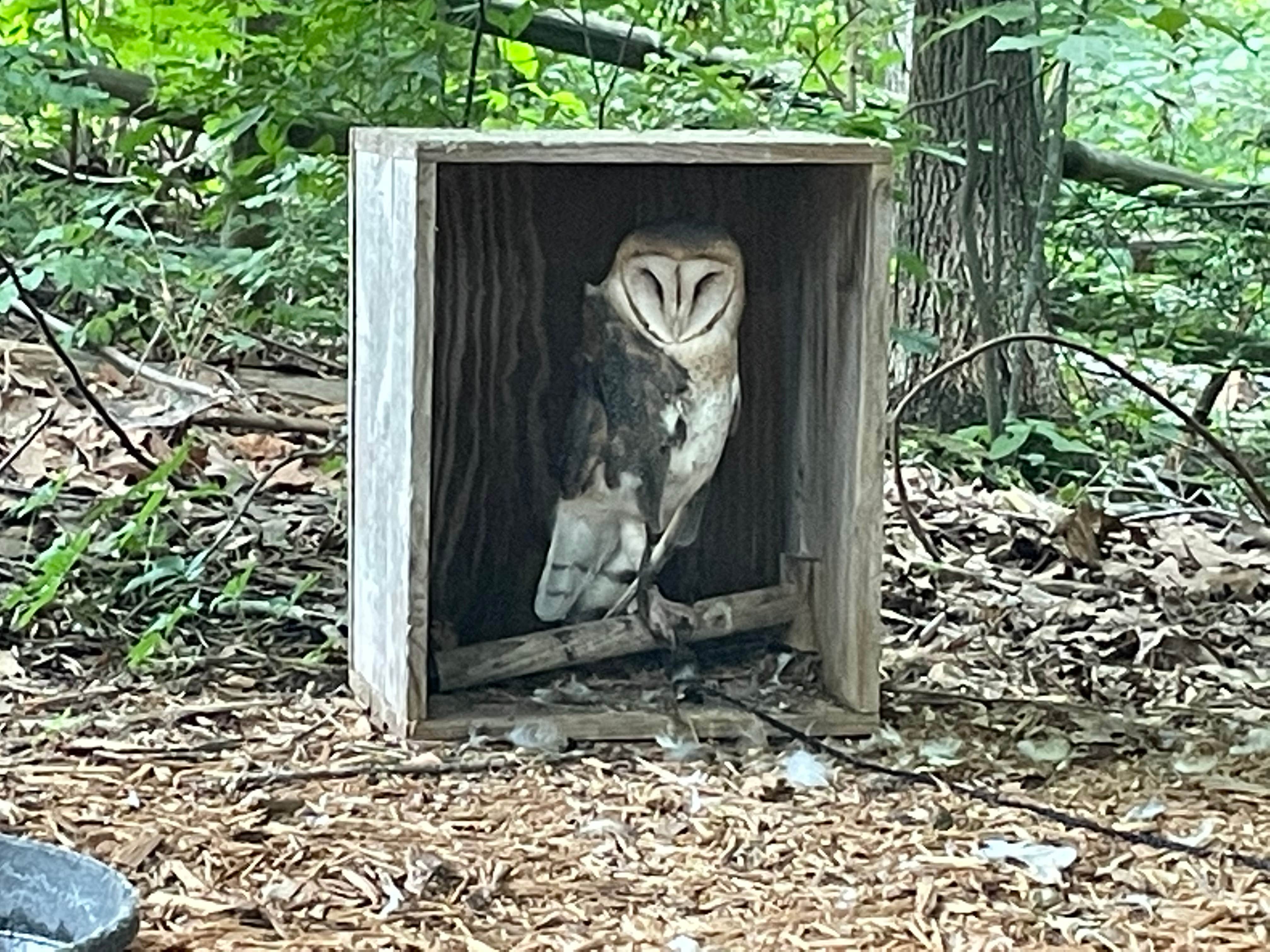 Bob R.'s photo of camping with pets at Hillman Ferry Campground near Kuttawa, KY