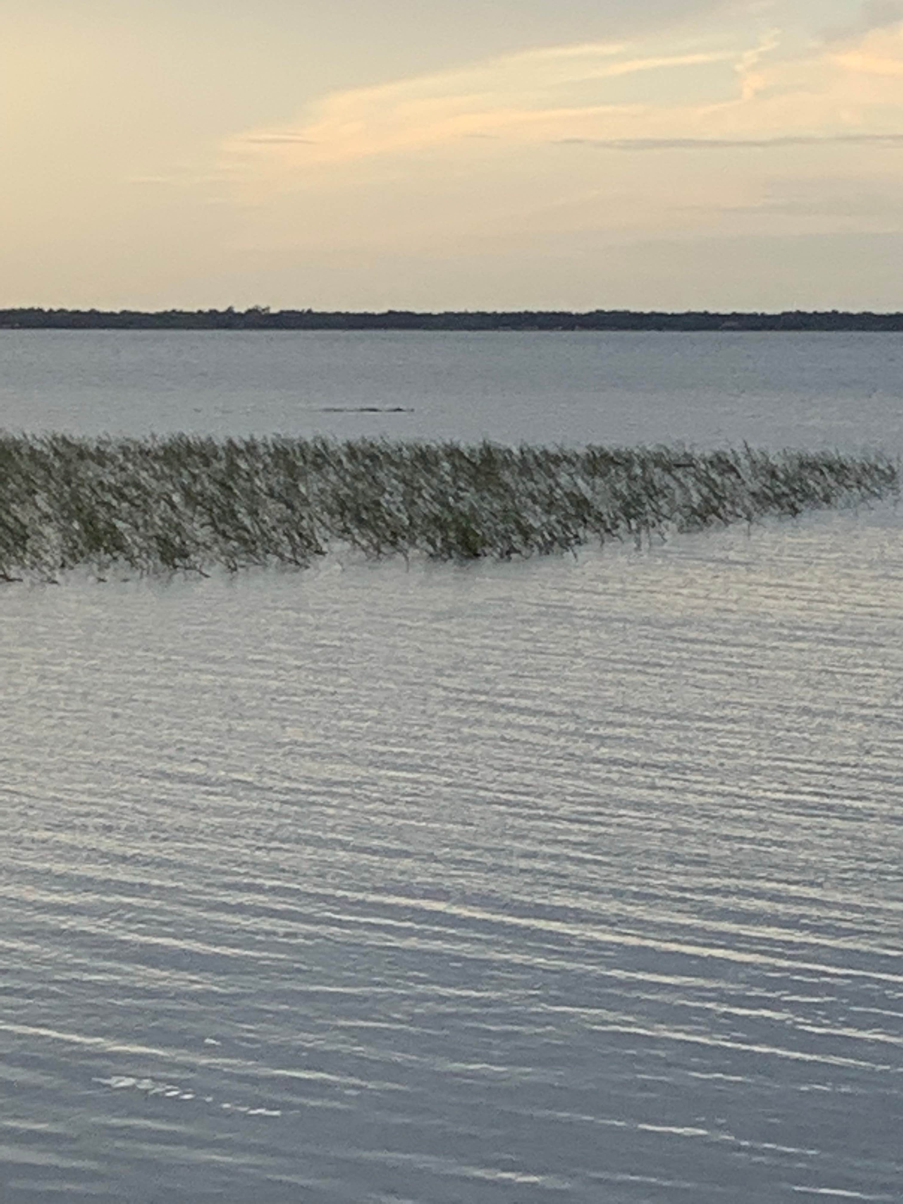 Camper-submitted photo at Lake Rosalie Campground near Nalcrest, FL