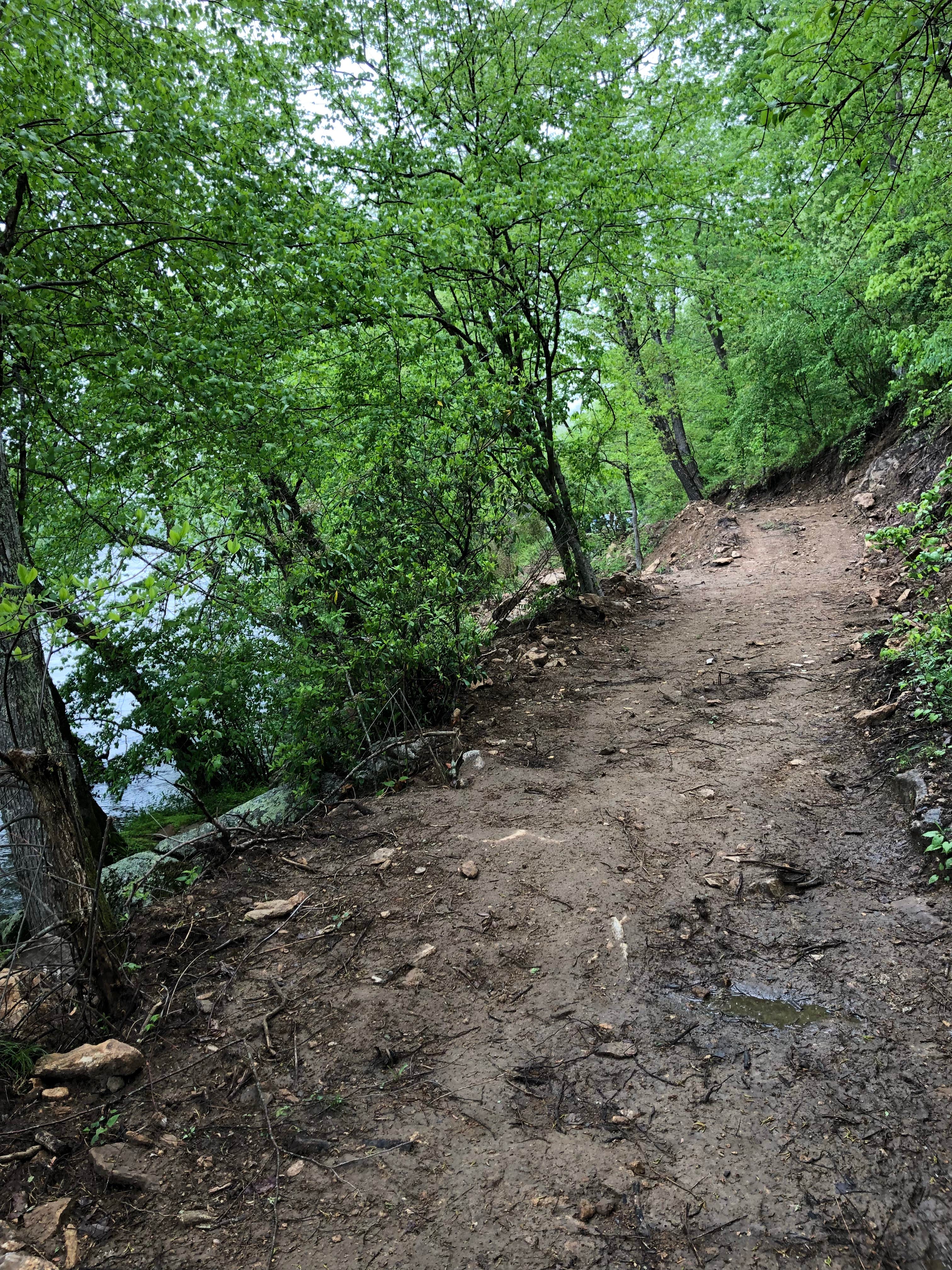 Camper submitted image from French Broad River Campground - Permanently Closed - 3