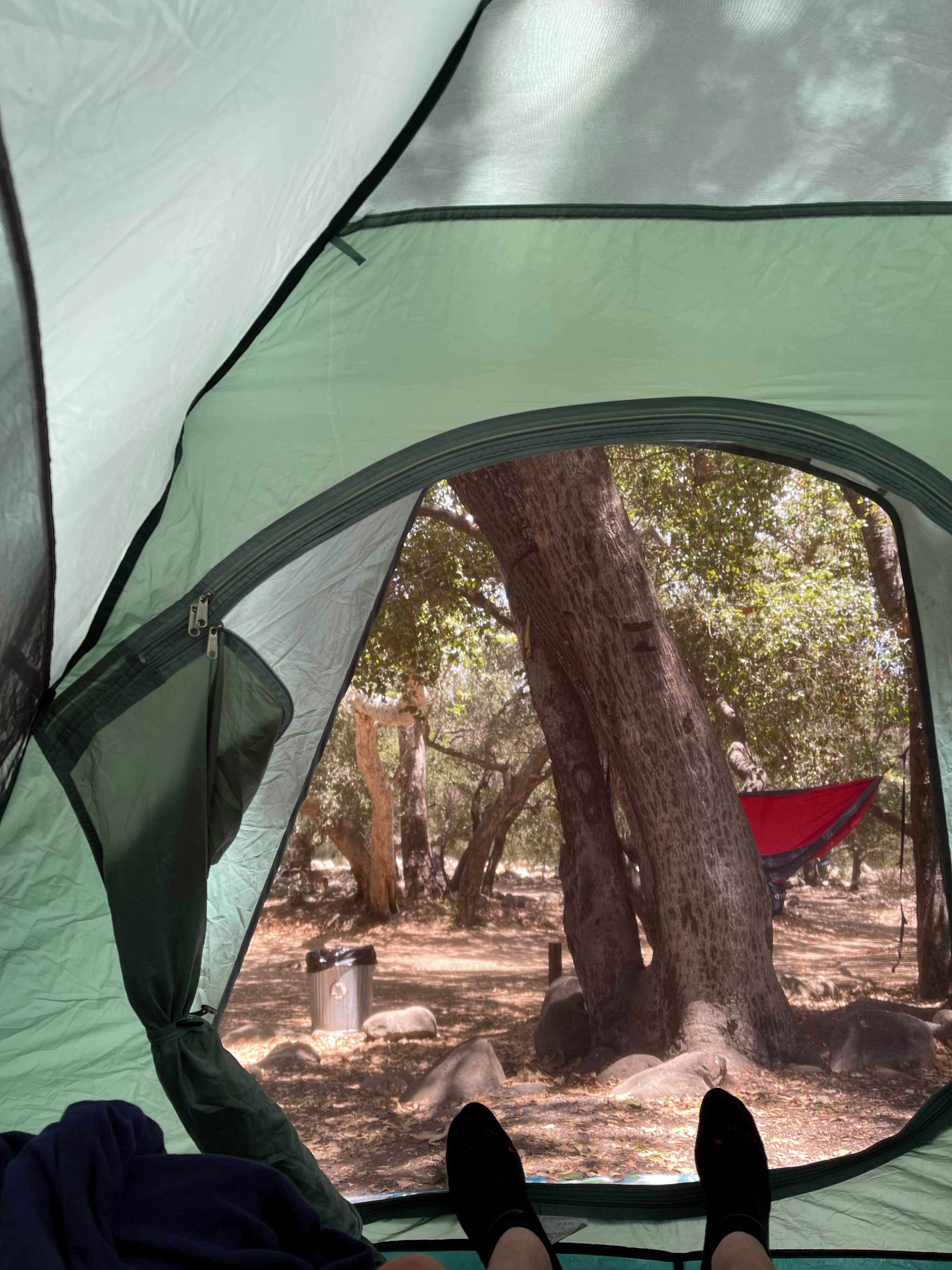 Camper submitted image from Steckel Park - 3