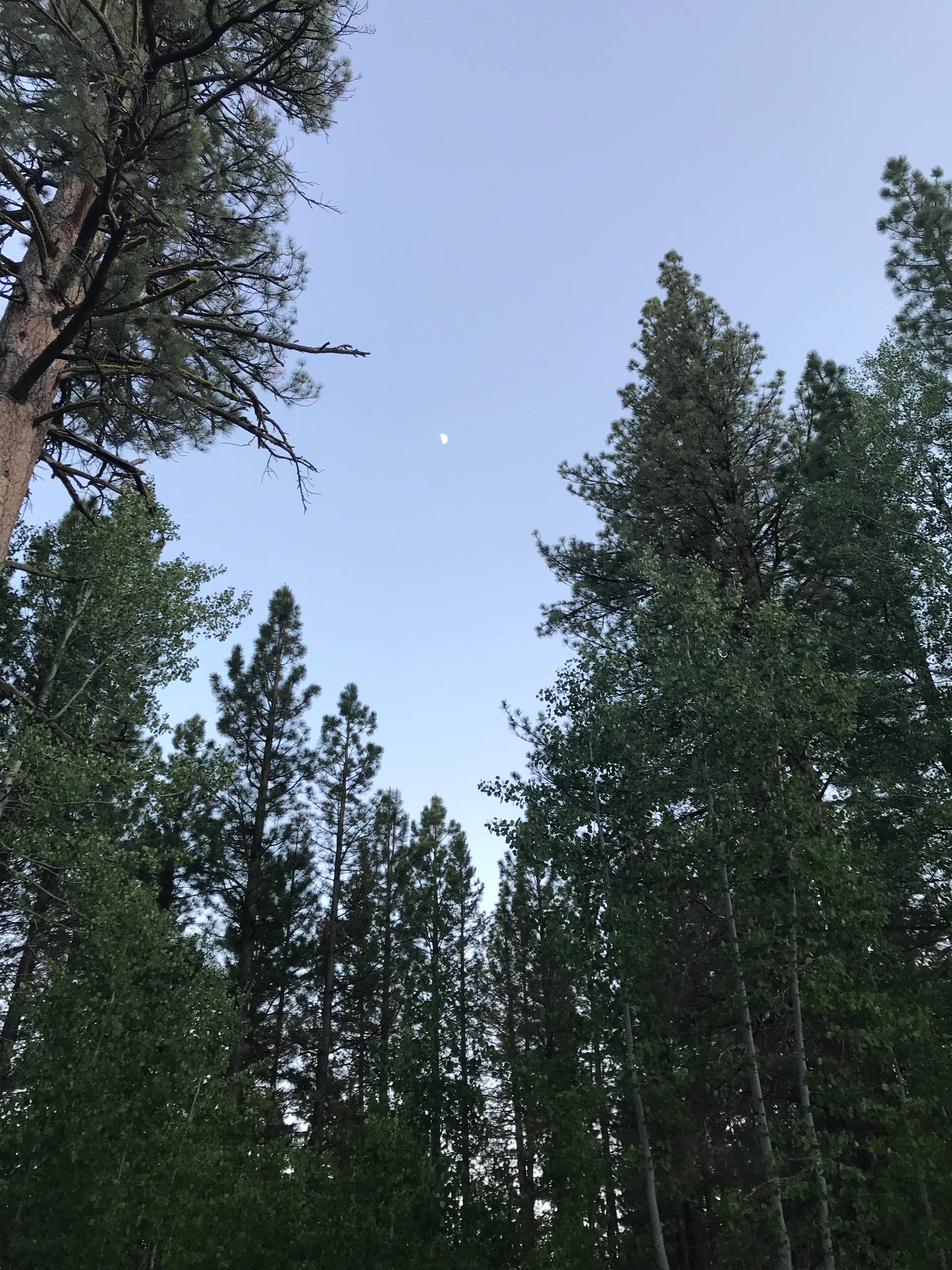 Camper submitted image from Bogard Campground - 2