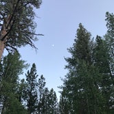 Review photo of Bogard Campground by Kristina B., June 21, 2021