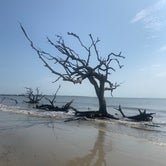 Review photo of Jekyll Island Campground by Darrell W., June 21, 2021
