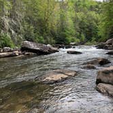 Review photo of French Broad River Campground - Permanently Closed by Molly G., June 6, 2018