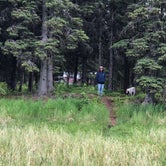 Review photo of Tustamena Lake Campground by Michael H., June 22, 2021
