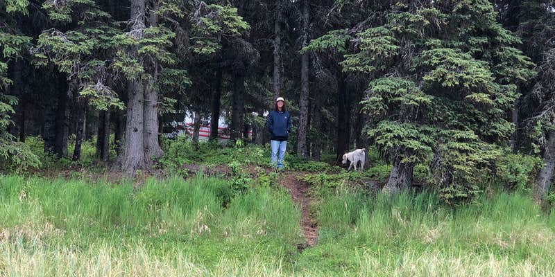 Camper submitted image from Tustamena Lake Campground