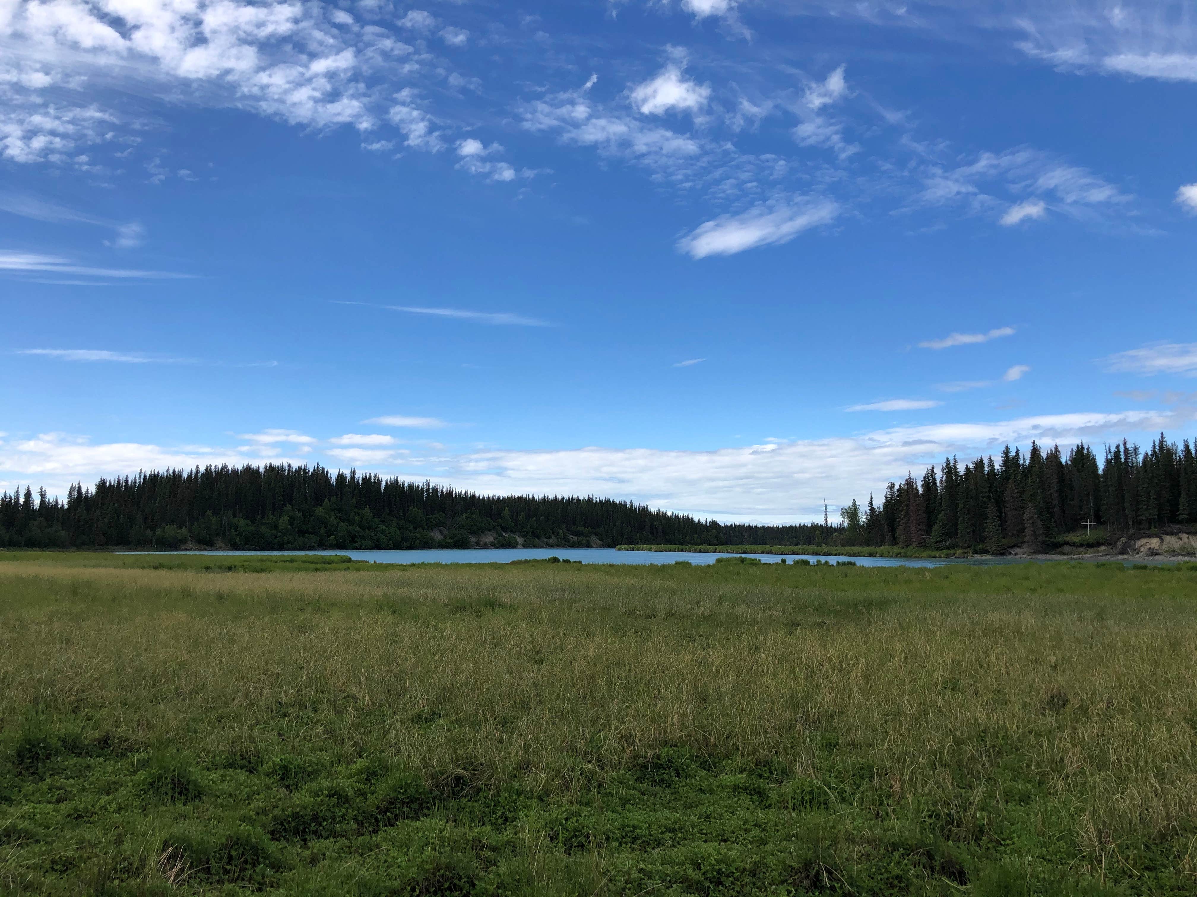 Camper-submitted photo at Tustamena Lake Campground near Ninilchik, AK