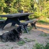 Composite picnic tables. Dog not included ;)