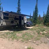 Review photo of Medicine Bow National Forest Ryan Park Campground by Michelle G., June 22, 2021