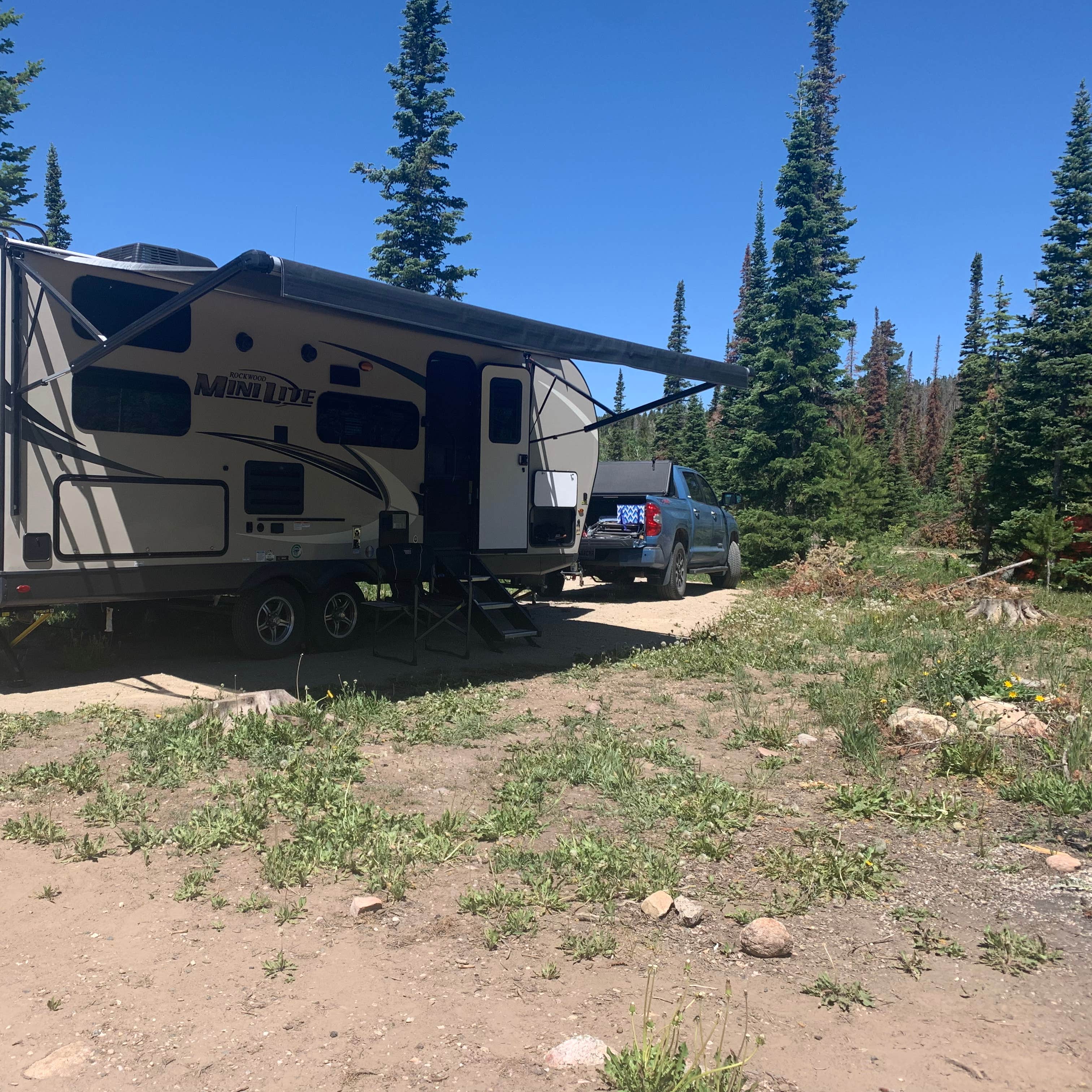 medicine bow routt national forest