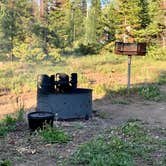 Review photo of Medicine Bow National Forest Ryan Park Campground by Michelle G., June 22, 2021