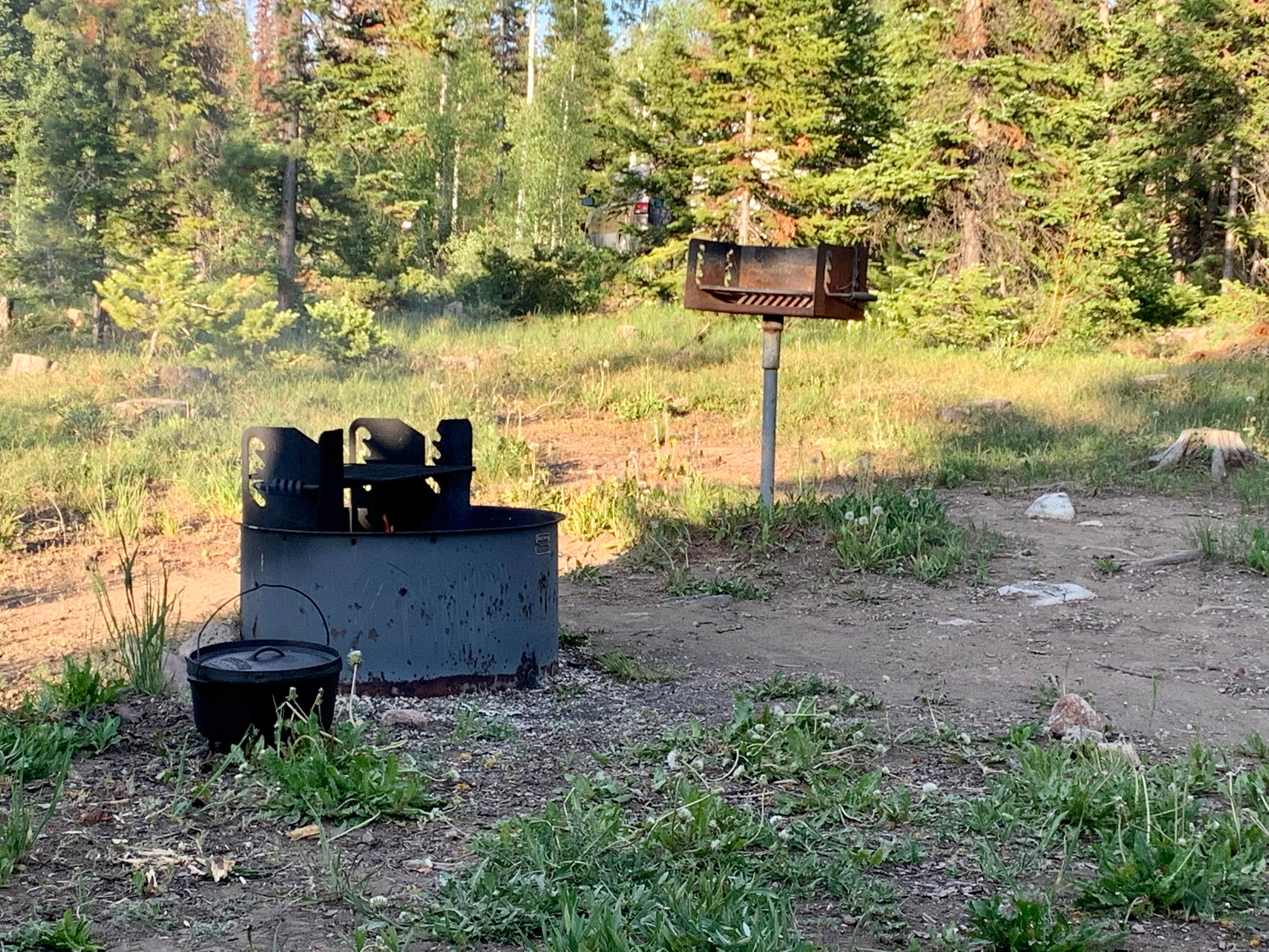 Camper submitted image from Medicine Bow National Forest Ryan Park Campground - 2