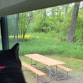 Review photo of Turtle River State Park Campground by Sue G., June 22, 2021
