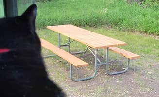 Sue G.'s photo of camping with pets at Turtle River State Park Campground in North Dakota