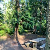 Review photo of Deception Pass State Park Campground by Courtney P., June 22, 2021