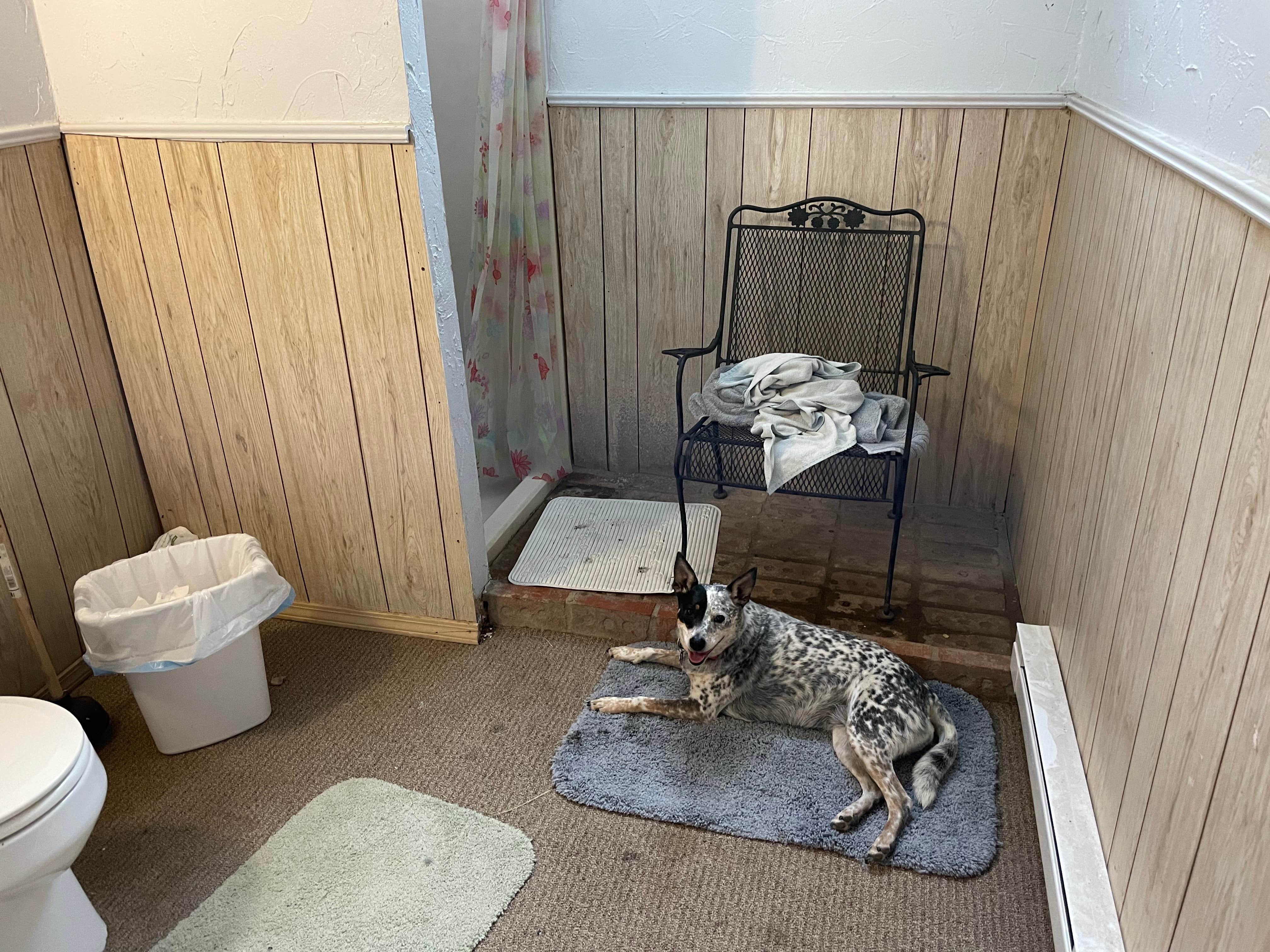 sarah's photo of camping with pets at Wild Bills RV & Trailer Park near Clayton, NM