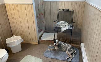 sarah's photo of camping with pets at Wild Bills RV & Trailer Park in Oklahoma