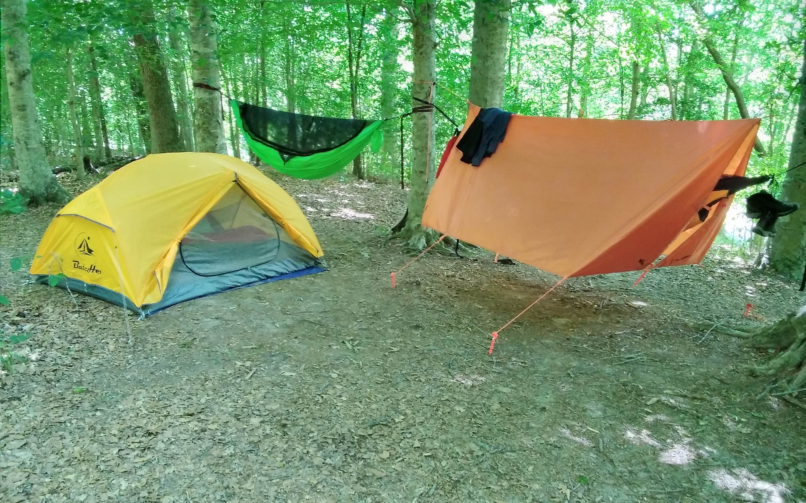 Mark N.'s photo of tent camping at Merchants Millpond Canoe-In Campground — Merchants Millpond State Park near Greenwood, VA