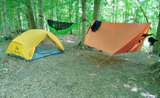 Mark N.'s photo at Merchants Millpond Canoe-In Campground — Merchants Millpond State Park near Creswell, NC