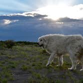 Review photo of Rabbit Hole Ranch by Jacky D., June 22, 2021